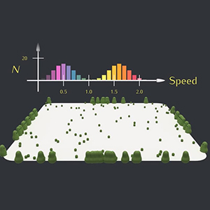 Simulating Natural Selection
